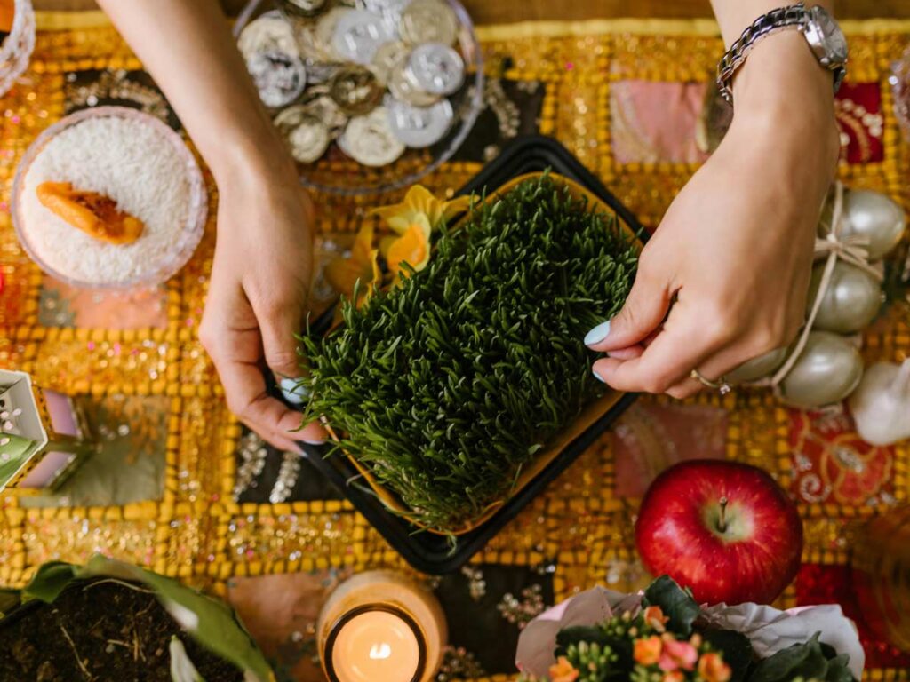 طلوعی نو در افق همکاری‌های ایران و کانادا